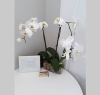 Gawler Heritage Accommodation - Holiday Sunshine Coast