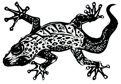 Gecko Guest House - Sunshine Coast Tourism 3