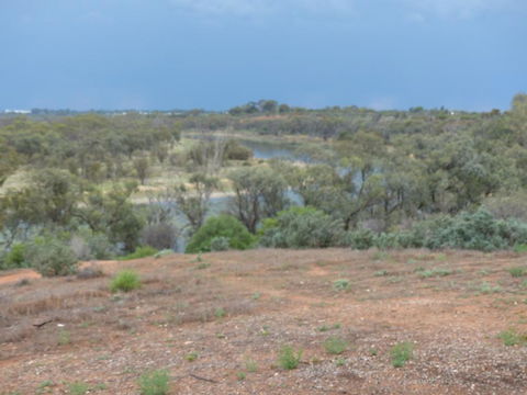 Glenbar Cottage Yelta - Sunshine Coast Tourism 1