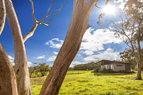 Glenworth Valley Outdoor Adventures - Sunshine Coast Tourism 1