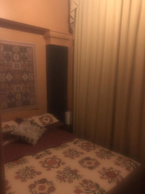 Globe Guesthouse - Sunshine Coast Tourism 2