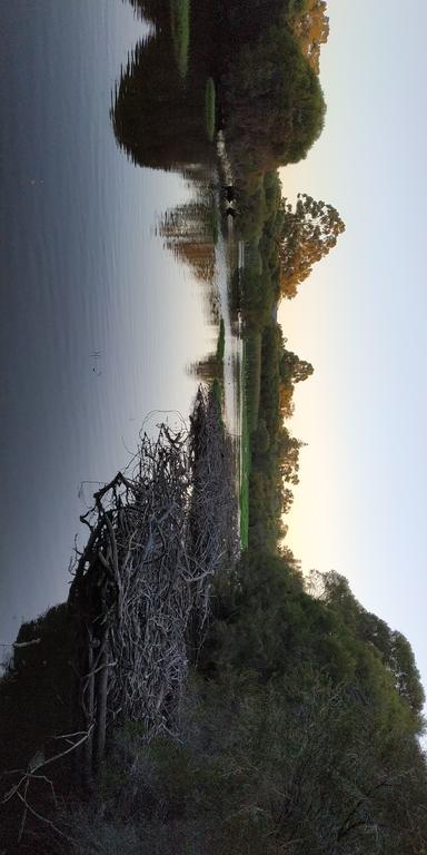 Gosnells Homestay - Holiday Sunshine Coast 1