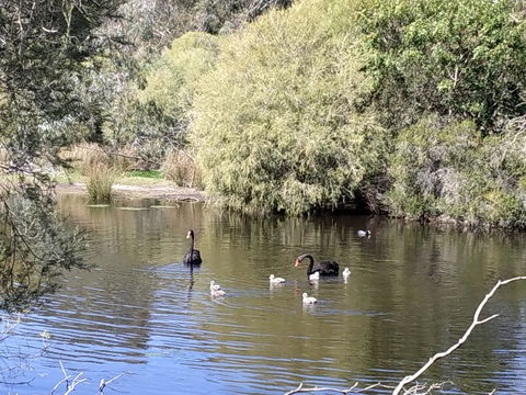 Gosnells Homestay - Holiday Sunshine Coast 3