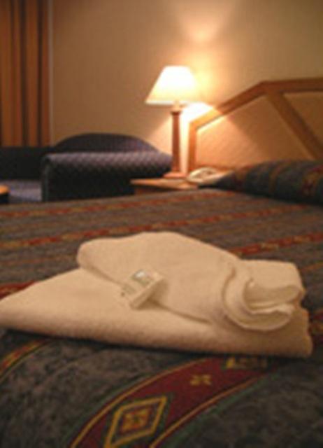 Goulburn Central Motor Lodge - Sunshine Coast Tourism 3