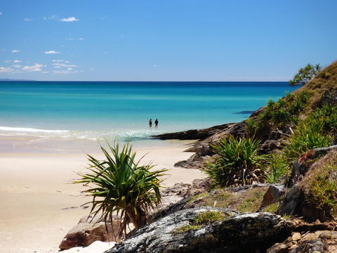Grassy Head Holiday Park - Sunshine Coast Tourism 0