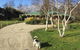 Green Gables B&B - thumb 1