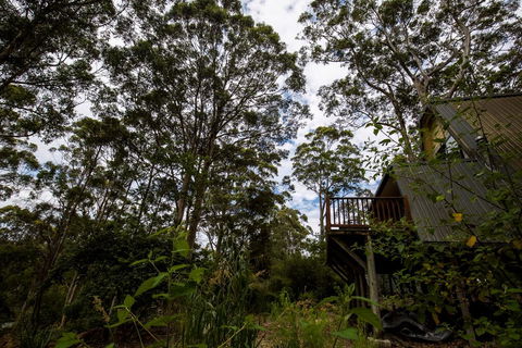 Green Leaves Cabin - Sunshine Coast Tourism 0