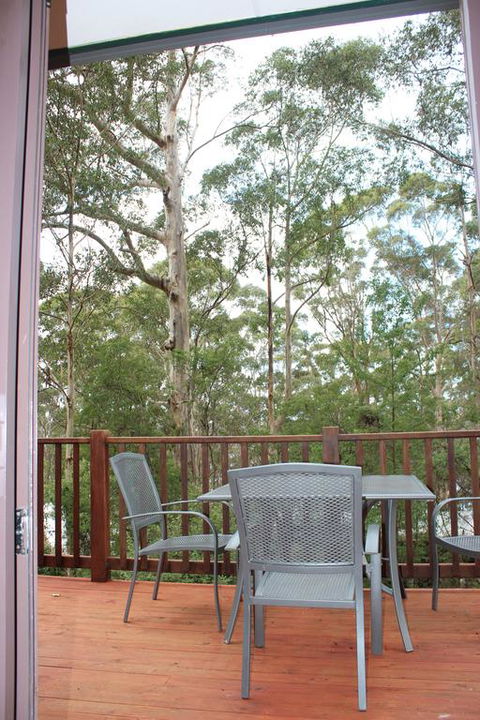 Green Leaves Cabin - Sunshine Coast Tourism 3