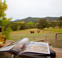 Grevillea Rise - Sunshine Coast Tourism