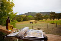 Book Gruyere Accommodation Vacations Sunshine Coast Tourism Sunshine Coast Tourism