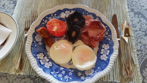 Grindelwald Lodge And Gardens - Holiday Sunshine Coast 2