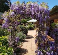 Gumtree House Montville - Sunshine Coast Tourism