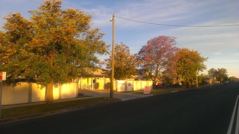 Gunnedah Lodge Motel - Sunshine Coast Tourism 1