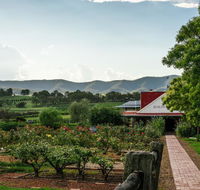 Hanging Tree Wines - Holiday Sunshine Coast
