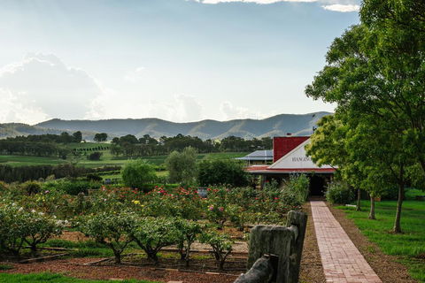 Hanging Tree Wines - Holiday Sunshine Coast 0