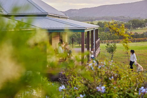 Hanging Tree Wines - Holiday Sunshine Coast 3