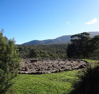 Hawksview at Mafeking - Holiday Sunshine Coast