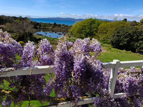 Hawley House - Holiday Sunshine Coast 3