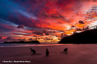 Heather's Mica Cottage