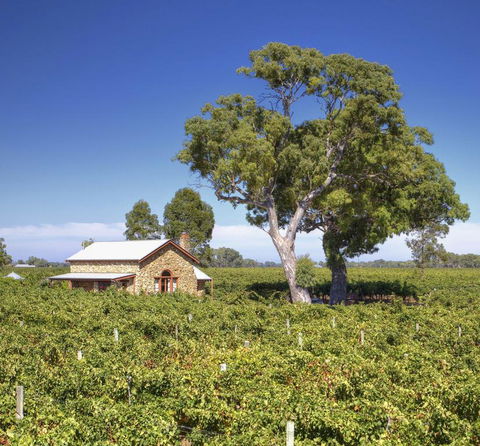 Highbank Country Accommodation - Sunshine Coast Tourism 3