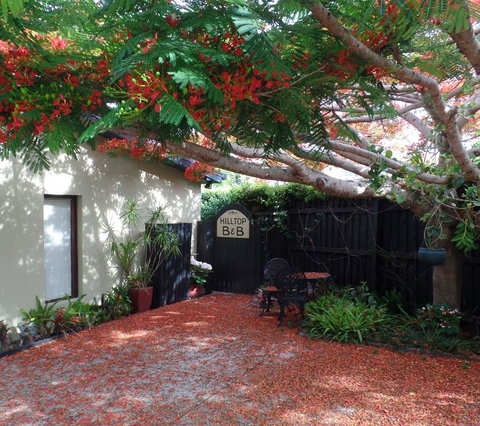 Hilltop B&B - Sunshine Coast Tourism 2