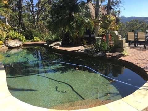 Hinterland Hideaway - Sunshine Coast Tourism 3