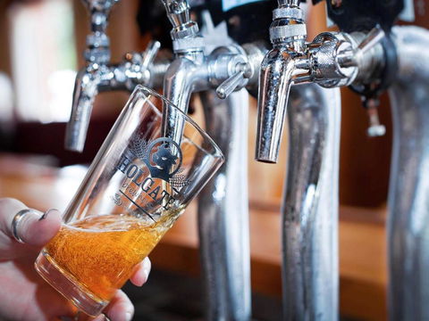 Holgate Brewhouse - Holiday Sunshine Coast 0