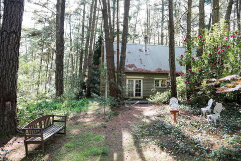 Holly Lodge Medlow Bath - Sunshine Coast Tourism 3