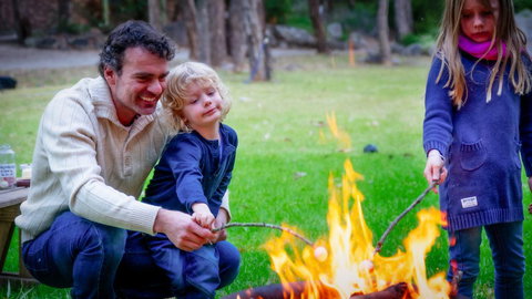 Honeysuckle Cottages - Sunshine Coast Tourism 3