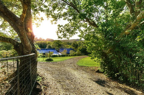 Jacaranda Cottages - Holiday Sunshine Coast 2