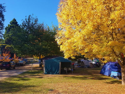 Jamieson Caravan Park - Sunshine Coast Tourism 2