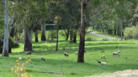 JAN'S ART STUDIO AT ASHBY RISE - Holiday Sunshine Coast 0