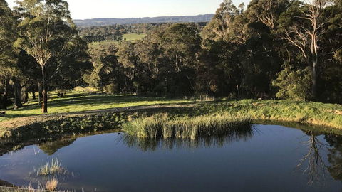 JAN'S ART STUDIO AT ASHBY RISE - Holiday Sunshine Coast 1