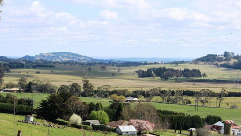 JAN'S ART STUDIO AT ASHBY RISE - Holiday Sunshine Coast 2