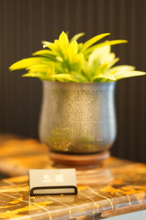 Jephson Hotel & Apartments - Sunshine Coast Tourism 3