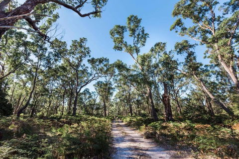Jetty Views - Water Views On Raymond Island - Sunshine Coast Tourism 1