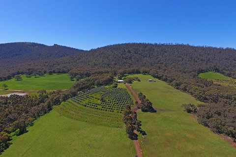 Jilba - Holiday Sunshine Coast 1