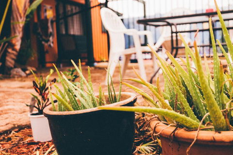 JJs Backpackers Hostel - Holiday Sunshine Coast 2