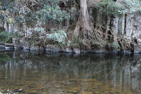 Kaalba - Sunshine Coast Tourism 1