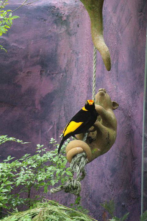 Kaalba - Sunshine Coast Tourism 3