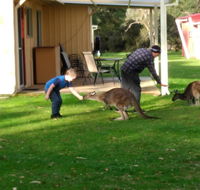 Kalgan River Chalets and Caravan Park - Sunshine Coast Tourism