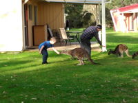 Book Kalgan Accommodation Vacations Sunshine Coast Tourism Sunshine Coast Tourism