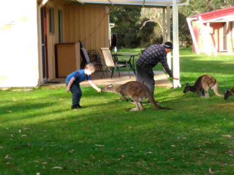 Kalgan River Chalets And Caravan Park - Holiday Sunshine Coast 0