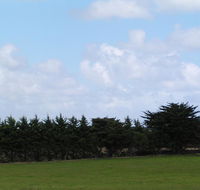 Karingal Homestead BB - Sunshine Coast Tourism