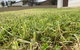 Karoonda Accommodation - thumb 0
