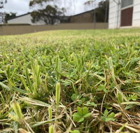 Karoonda Accommodation - Holiday Sunshine Coast