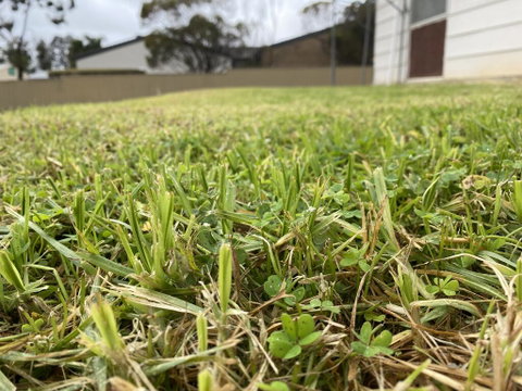 Karoonda Accommodation - Sunshine Coast Tourism 0