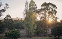 Karribank and the Karri On Bar