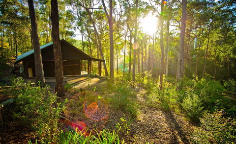 Kianinny Bush Cottages - Sunshine Coast Tourism 0