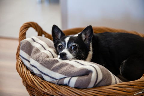 Kingaroy Country Motel - Sunshine Coast Tourism 3